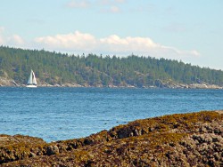 Quadra Island, BC