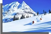 Winter Skiing in Whistler