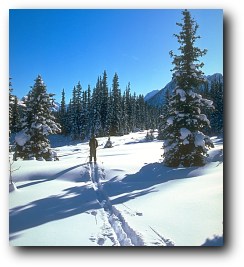 Cariboo Cross-Country Skiing